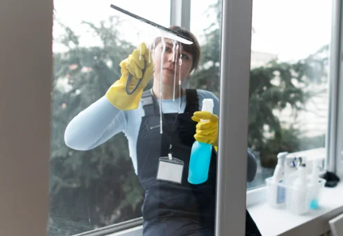 Nettoyage de vitres intérieures et extérieures à Brévainville